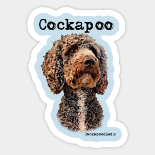Brown and White Cockapoo / Spoodle and Doodle Dog Sticker